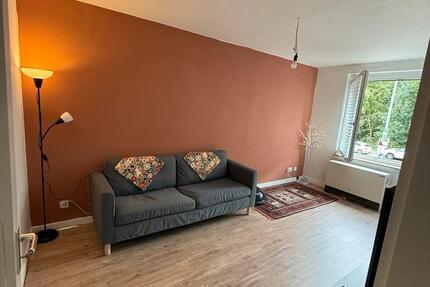 Wohnung Essen Stadtbezirk VI - 1 Zimmer, 44 m&sup2;, 420&euro; | Angebot:24521533