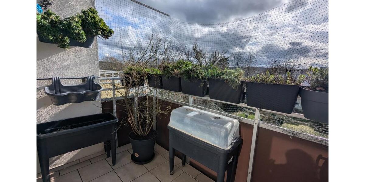 Etagenwohnung Essen Stadtbezirk IX - 3 Zimmer, 74 m&sup2;, 249.000&euro; | Angebot:25381592