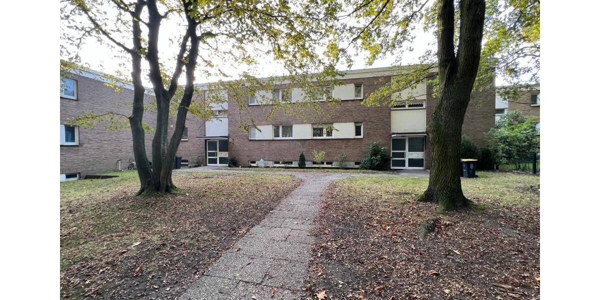 1,5 Raumwohnung im grünen in Gelsenkirchen 1 zimmer