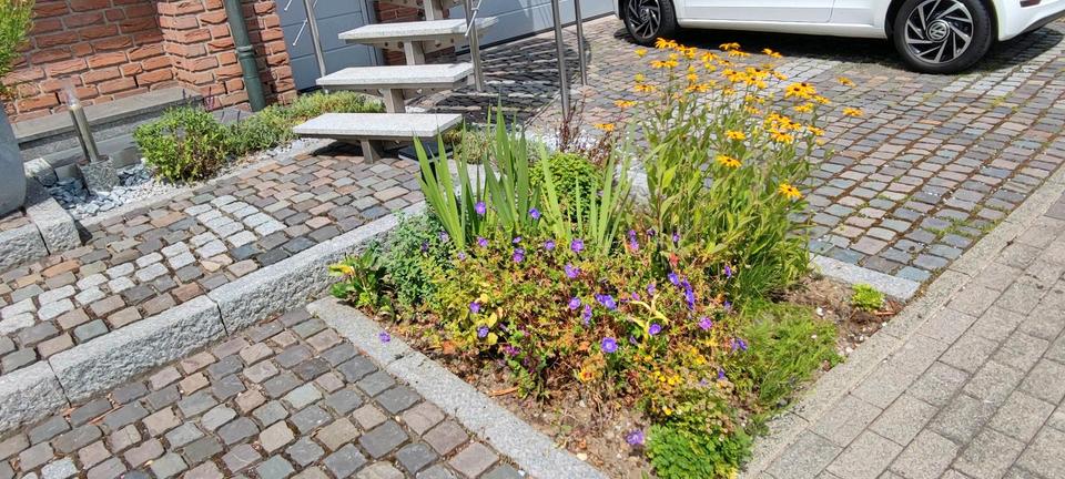 Alt-Marl, 2 Zi. 58qm, auf Zeit 2 zimmer