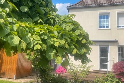 Haus Oer-Erkenschwick Erkenschwick - 7 Zimmer, 143 m&sup2;, 349.000&euro; | Angebot:27168147