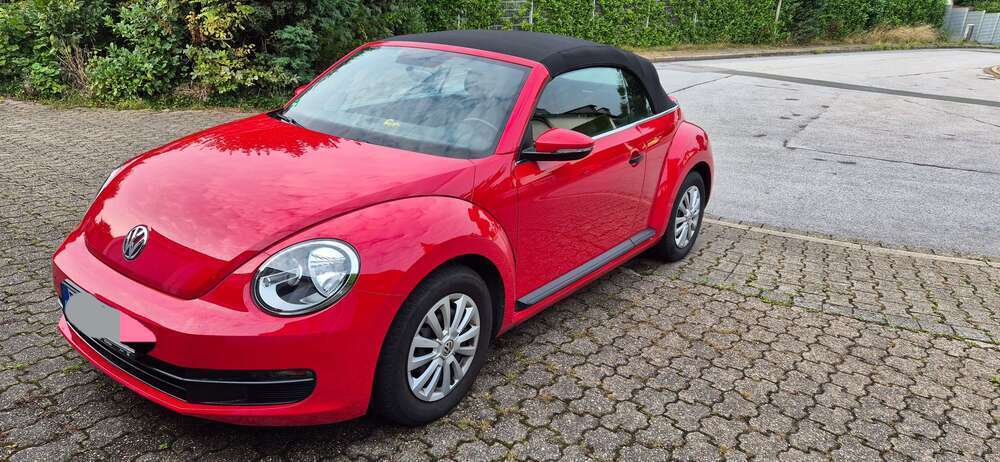 New Beetle