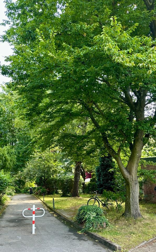 Selbstnutzer Aufgepasst- 2,5 Zimmer Wohnung mit Balkon zimmer