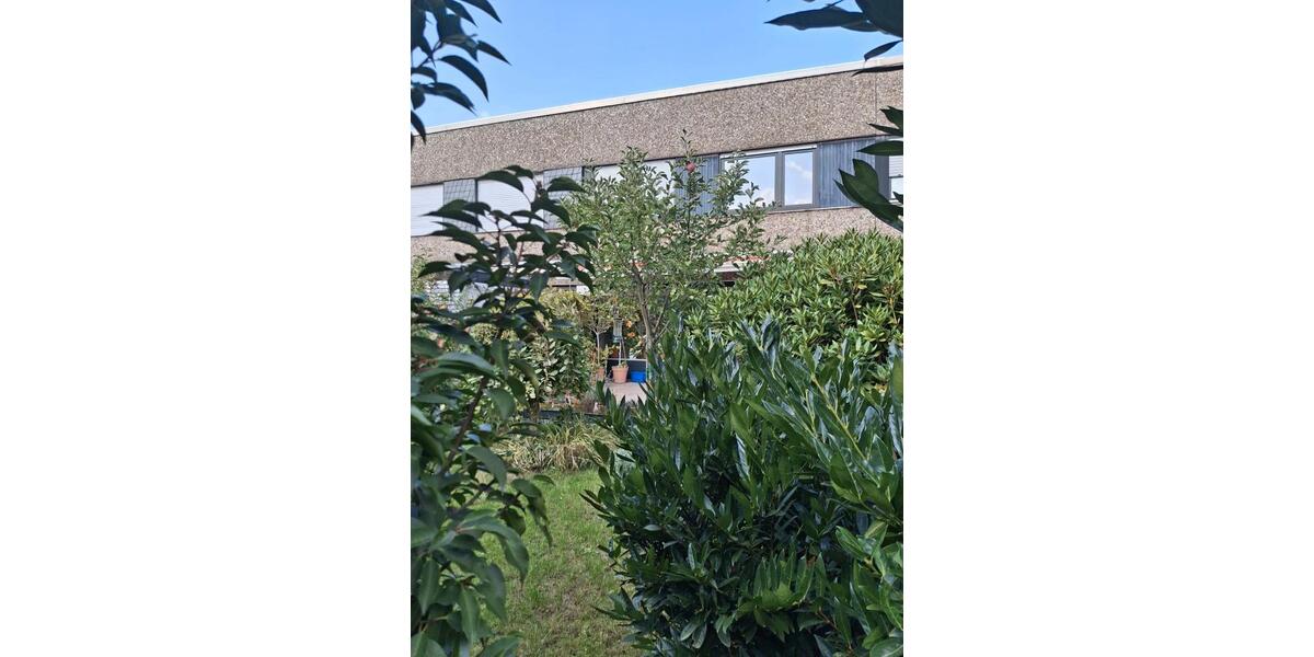 Reihenhaus Duisburg Großenbaum - 4 Zimmer, 122 m&sup2;, 399.000&euro; | Angebot:26906431