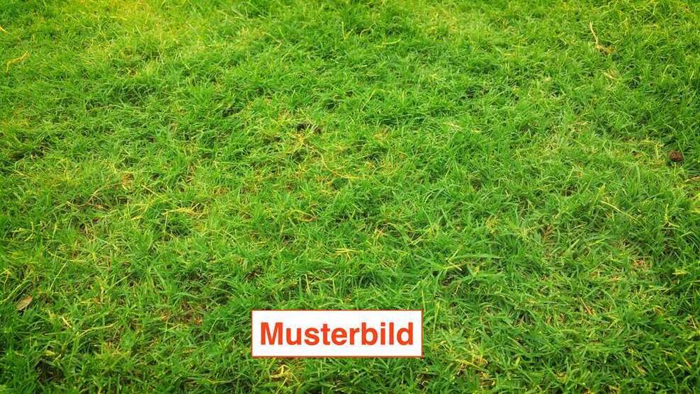 Grundstück zu verkaufen in Meerbusch 435.000 € 645 m²