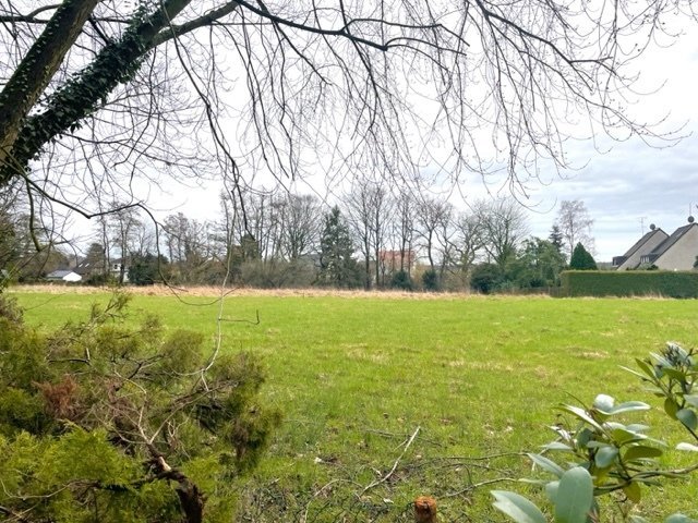 Maßgenschneidertes Einfamilienhaus in Mülheim an der Ruhr - Ihr Traum vom Zuhause mit allkauf verwirklicht - Einfamilienhaus Mülheim an der Ruhr Menden-Holthausen | Angebot:27470091