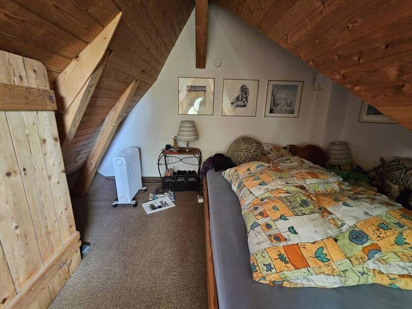 Moderne Architektur trifft auf charmante Baukunst – Häuserensemble aus 2 Einfamilienhäuser, EinliegerWohnung + Fabrikgebäude