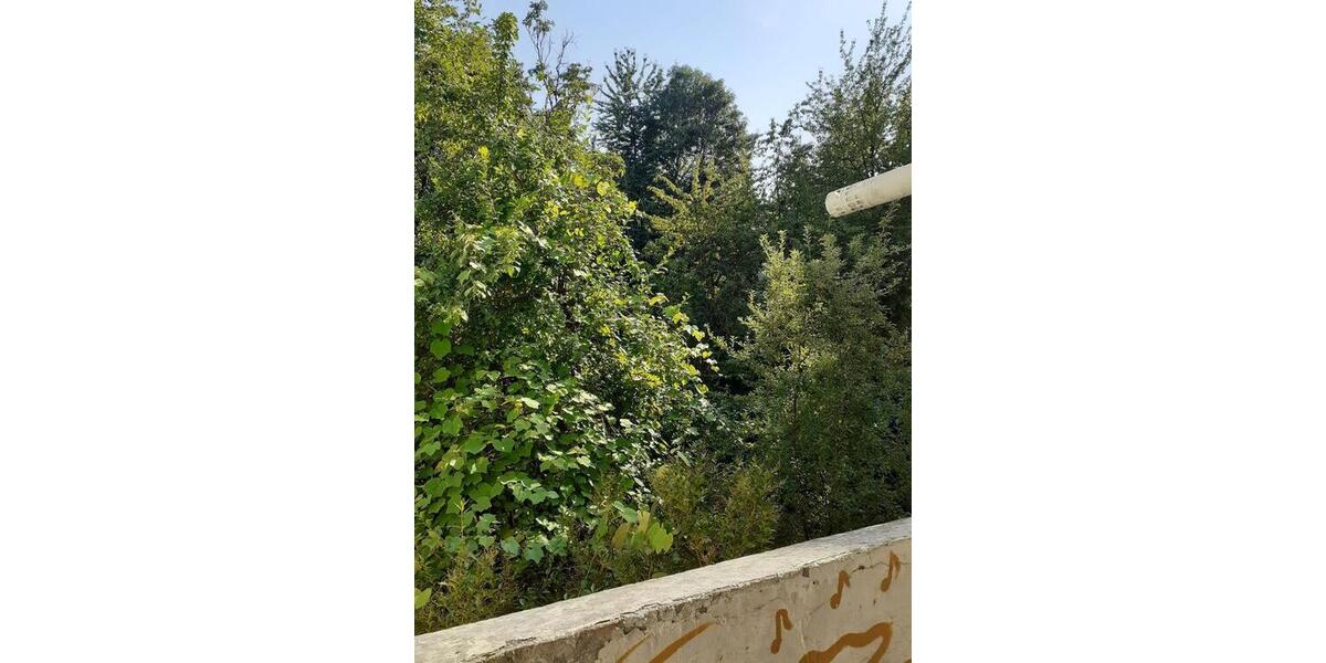 Etagenwohnung Wuppertal Elberfeld - 2 Zimmer, 48 m&sup2;, 95.000&euro; | Angebot:27446968