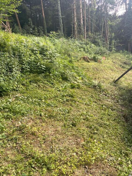 Freistehendes Einfamilienhaus mitten im Wald