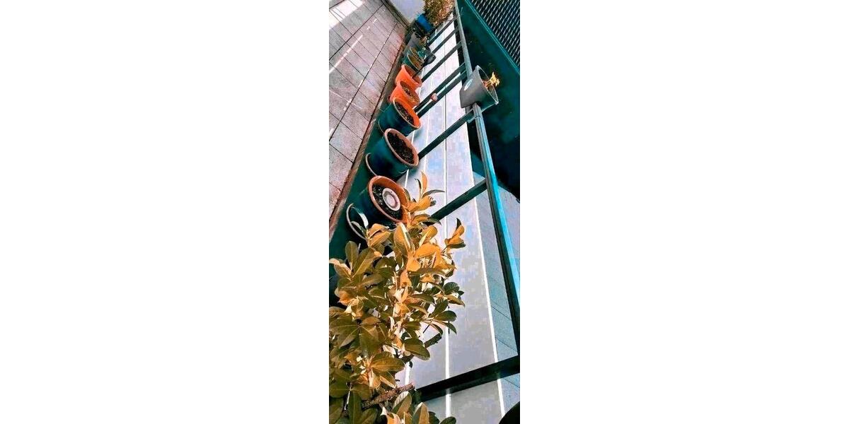 Etagenwohnung Heiligenhaus - 2 Zimmer, 71 m&sup2;, 730&euro; | Angebot:26090557