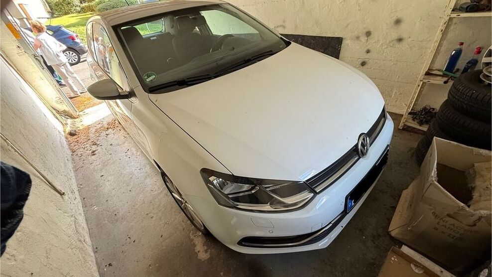 Polo
