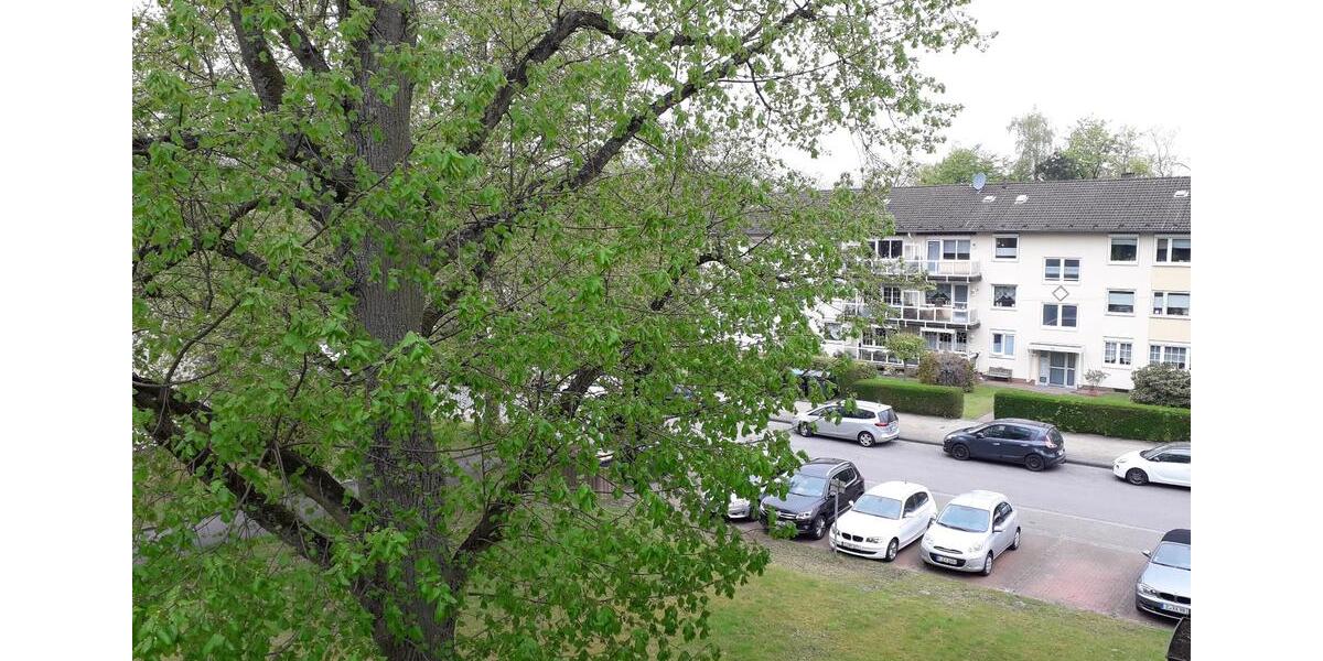 Etagenwohnung Essen Stadtbezirk VII - 3 Zimmer, 65 m&sup2;, 569&euro; | Angebot:26415572