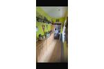 Bungalow Duisburg Mittelmeiderich - 2.5 Zimmer, 65 m&sup2;, 900&euro; | Angebot:25967727