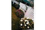 Dachgeschoßwohnung Gelsenkirchen Gelsenkirchen-West - 3 Zimmer, 65 m&sup2;, 840&euro; | Angebot:26415562