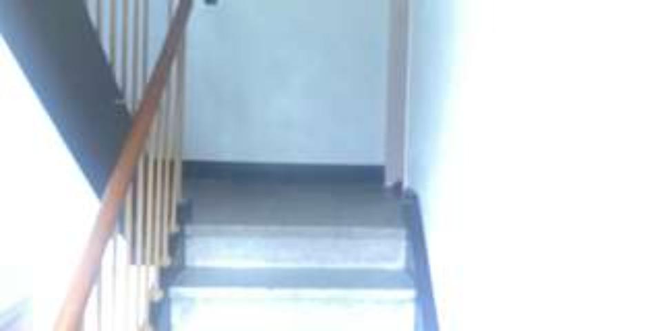 Eigentumswohnung als Investment: 3 Zimmer, vermietet, gute Lage 3 zimmer