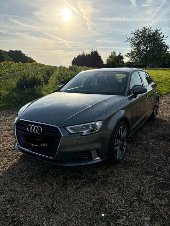 A3