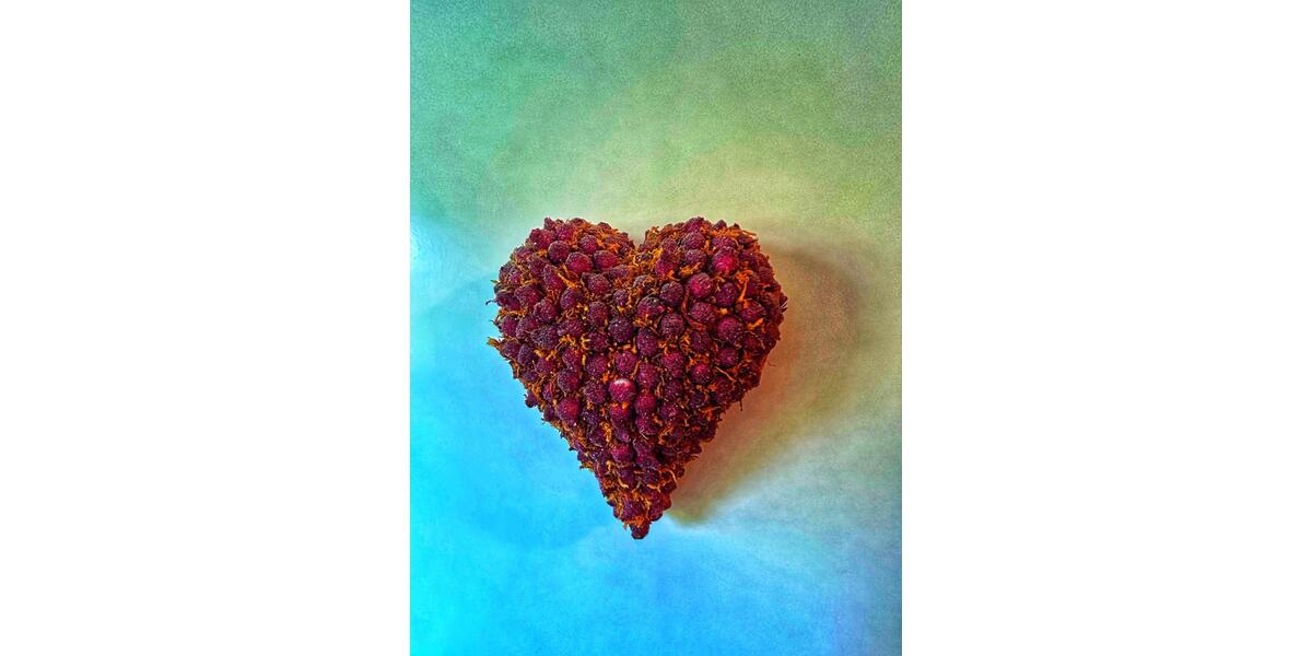 Reihenhaus Erkrath - 4 Zimmer, 100 m&sup2;, 1.600&euro; | Angebot:25352183