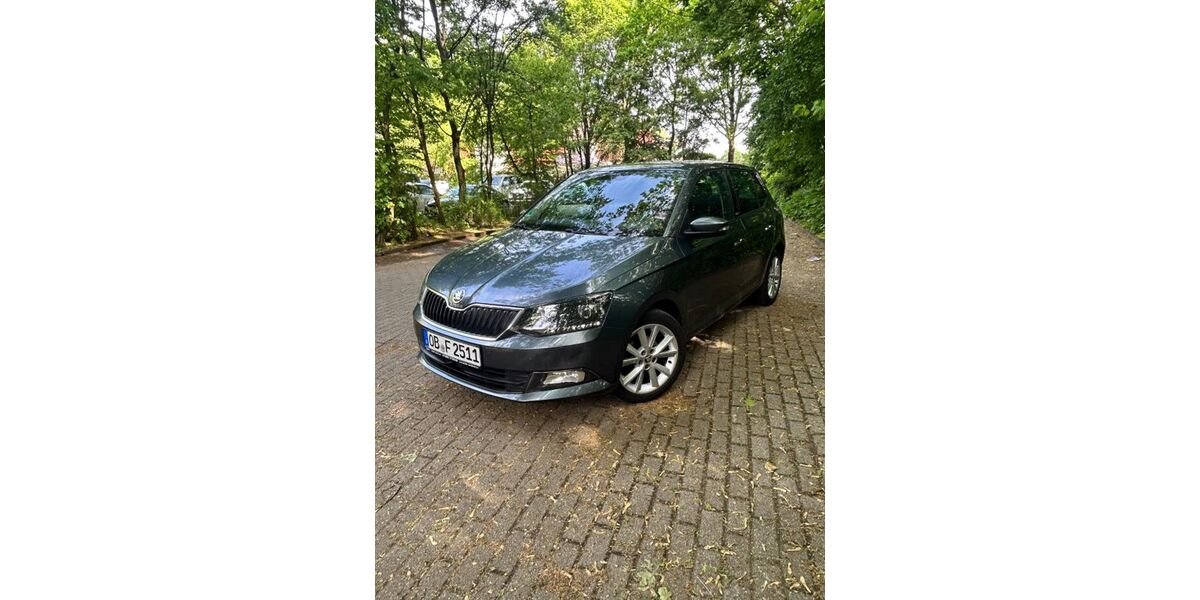 Skoda Fabia 98.000 km 8.300 &euro; Oberhausen 46119