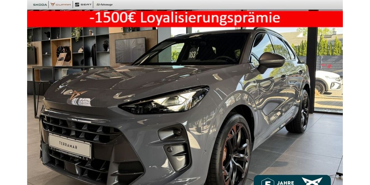 Cupra Terramar 6.900 km 50.990 &euro; Castrop-Rauxel 44579