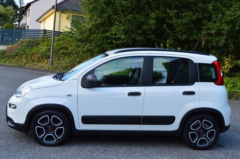 Panda