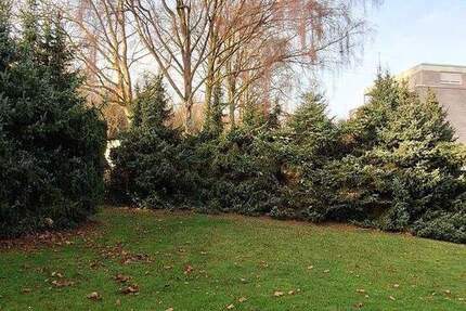 Gut geschnittene 2 Zimmer -Wohung mit Blick ins Grüne 2 zimmer