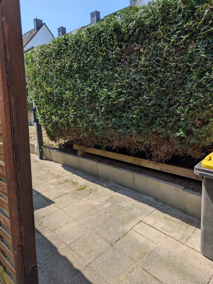 haus Dortmund Gartenstadt, Besichtigung, 8.11.2025 11:00 Uhr zimmer