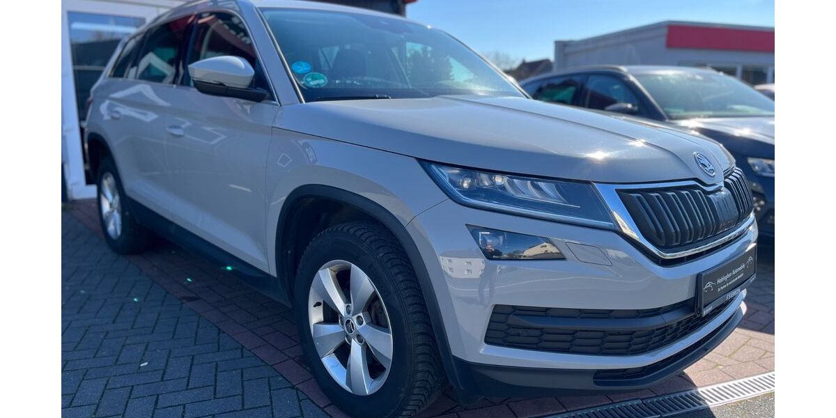 Skoda Kodiaq 225.000 km 18.900 &euro; Castrop Rauxel 44579