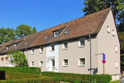 Wohnung zum Mieten in Gelsenkirchen 289 € 38.21 m² 2 zimmer