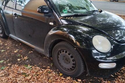 VW Beetle