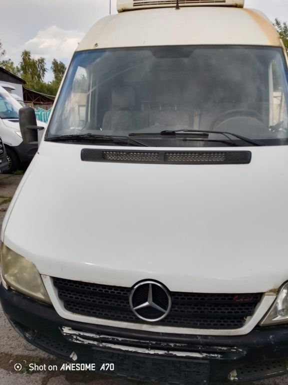 Sprinter