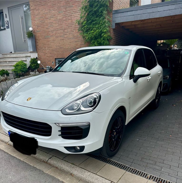 Cayenne