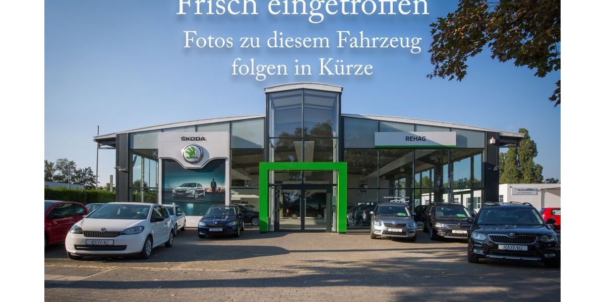 Skoda Fabia 28.373 km 13.990 &euro; Recklinghausen 45659