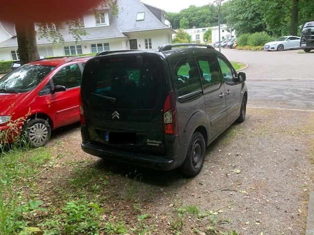 Berlingo