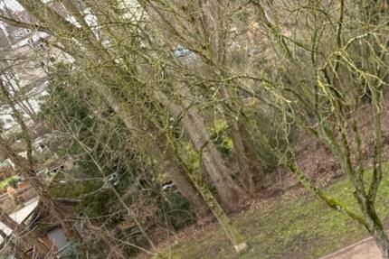 Wohnung Bochum Bochum-Nord - 3.5 Zimmer, 63 m&sup2;, 595&euro; | Angebot:24838029