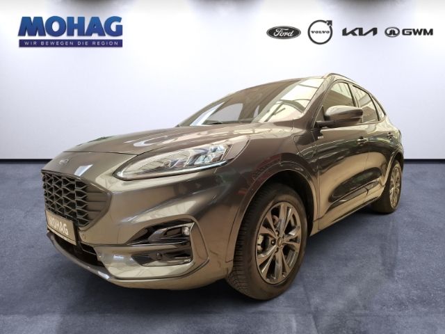 Kuga