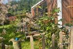 Einfamilienhaus Bochum Bochum-Südwest - 1 Zimmer, 23 m&sup2;, 39.900&euro; | Angebot:26704218