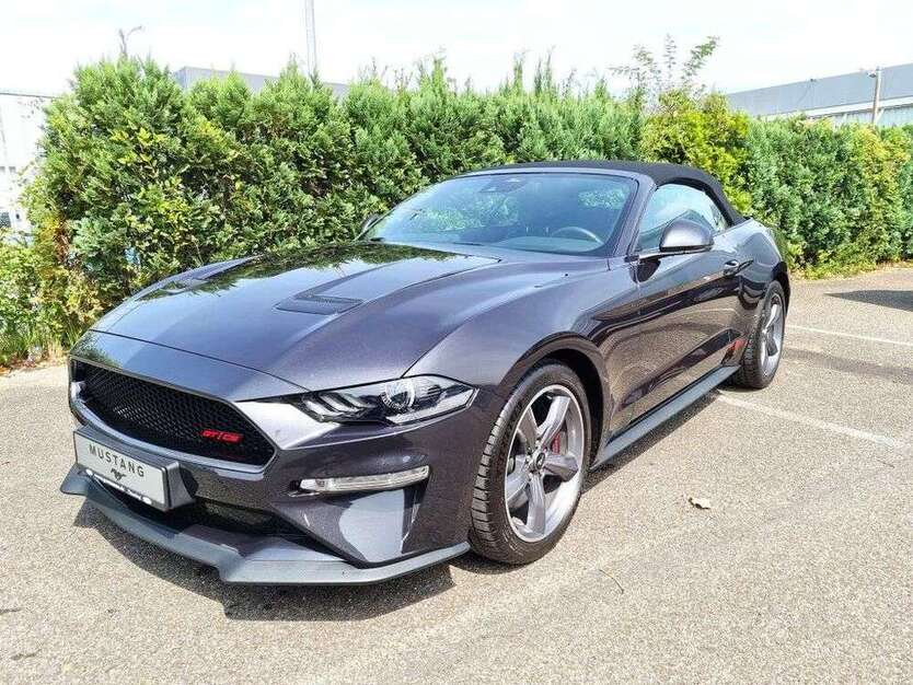 Mustang