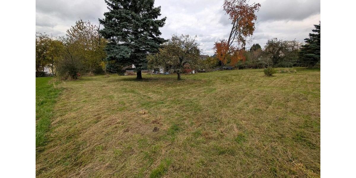 Fachwerkhaus, NICHT denkmalgeschützt! Sanierungsbedürftig 5 zimmer