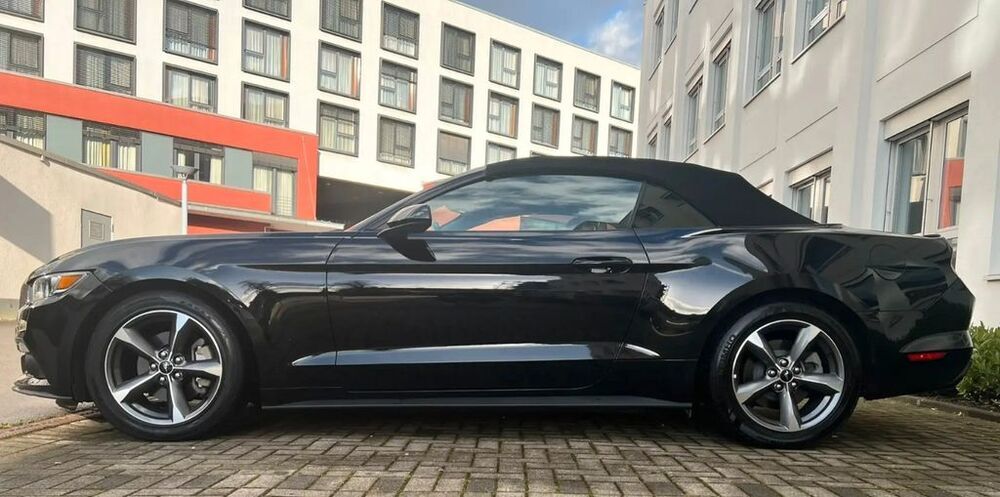 Mustang