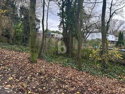 NATURNAH UND RUHIG - IHR NEUES ZUHAUSE zimmer