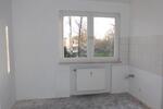 Etagenwohnung Essen Stadtbezirk V - 2.5 Zimmer, 45 m&sup2;, 368&euro; | Angebot:26449938