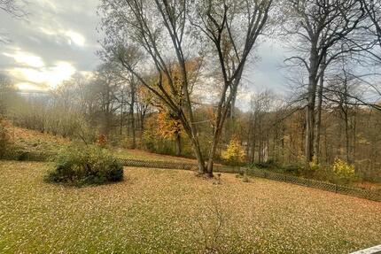 2R ETW, 1. Etage, Balkon mit Blick ins Grüne 2 zimmer