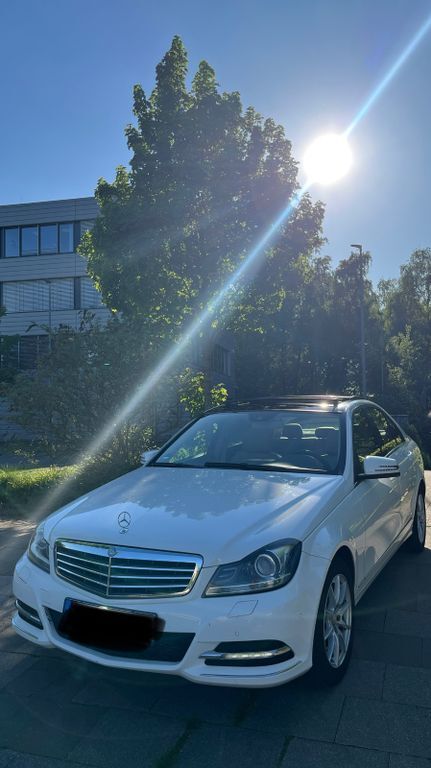 C 250