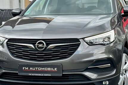 Opel Grandland (X) 69.875 km 11.450 &euro; Herten 45699