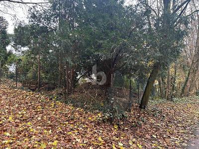 NATURNAH UND RUHIG - IHR NEUES ZUHAUSE zimmer