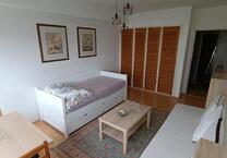 Vollmöblierte 1-Zimmer-Wohnung mit Balkon