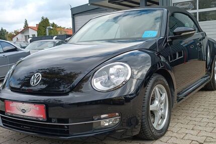 VW Beetle