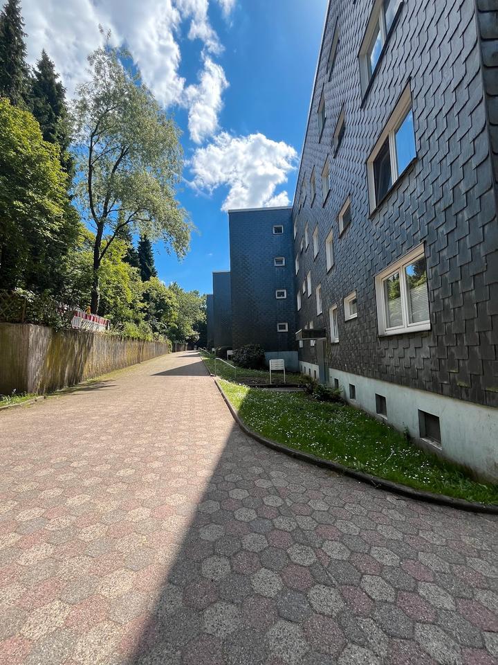 Einziehen&wohlfühlen - 3 Zimmer mit Balkon ab sofort frei !
