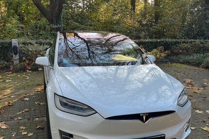 Tesla Model X 126.213 km 25.000 &euro; Erkrath 40699