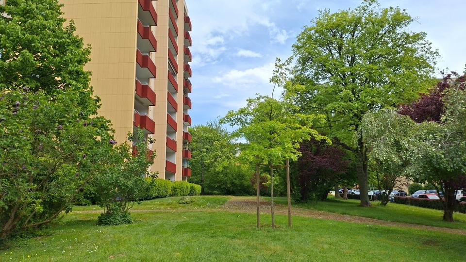 Etagenwohnung Essen Stadtbezirk IX - 2.5 Zimmer, 67 m&sup2;, 790&euro; | Angebot:26671708